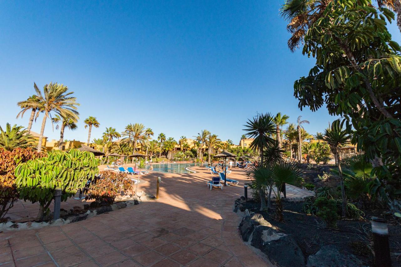 La Vista Bonita Daire Corralejo Dış mekan fotoğraf